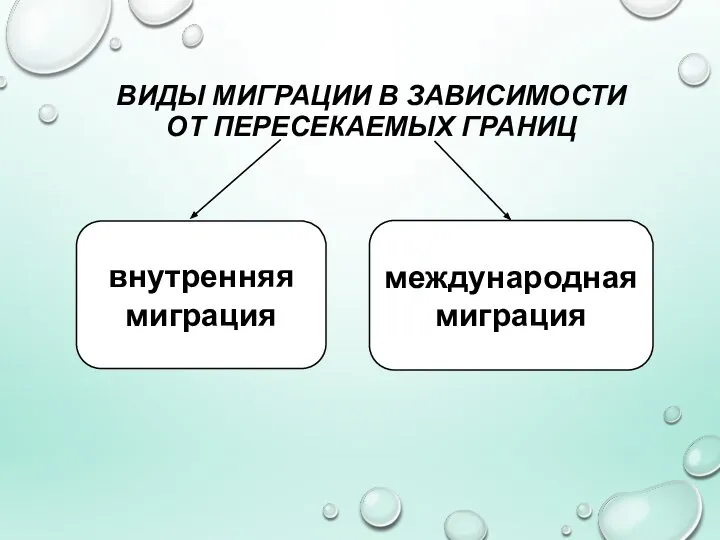 ВИДЫ МИГРАЦИИ В ЗАВИСИМОСТИ ОТ ПЕРЕСЕКАЕМЫХ ГРАНИЦ внутренняя миграция международная миграция