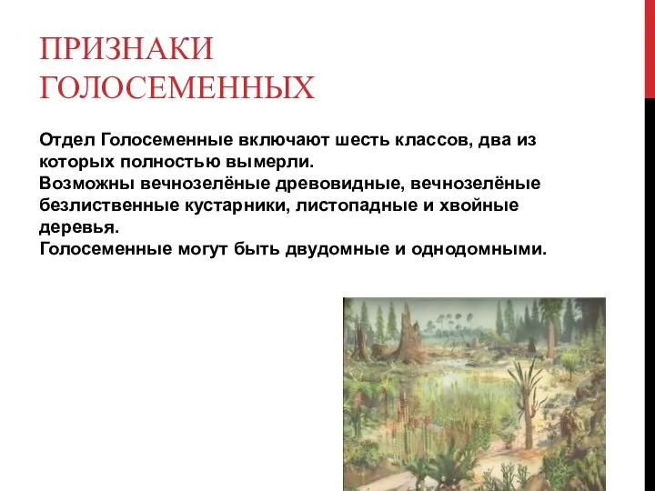 ПРИЗНАКИ ГОЛОСЕМЕННЫХ Отдел Голосеменные включают шесть классов, два из которых полностью