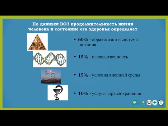 60% - образ жизни и система питания 15% - наследственность 15%