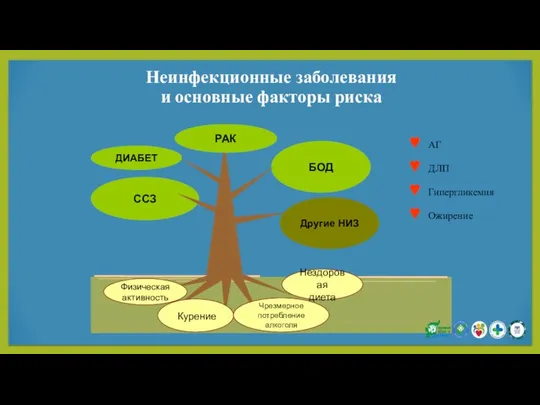 Неинфекционные заболевания и основные факторы риска АГ ДЛП Гипергликемия Ожирение