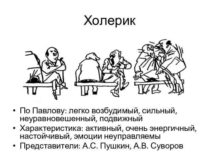 Холерик По Павлову: легко возбудимый, сильный, неуравновешенный, подвижный Характеристика: активный, очень