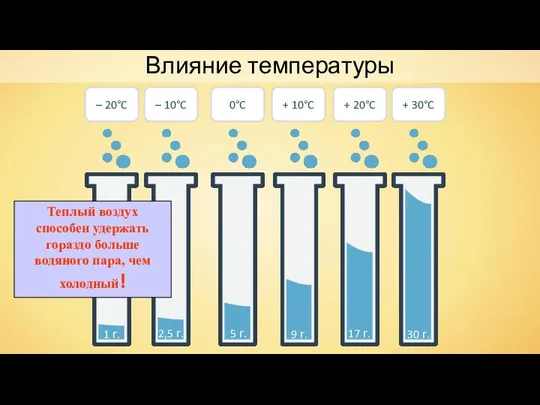 Влияние температуры – 20°C – 10°C 1 г. 5 г. 2,5