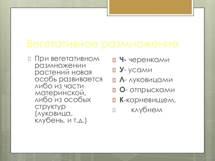 Вегетативное размножение При вегетативном размножении растений новая особь развивается либо из