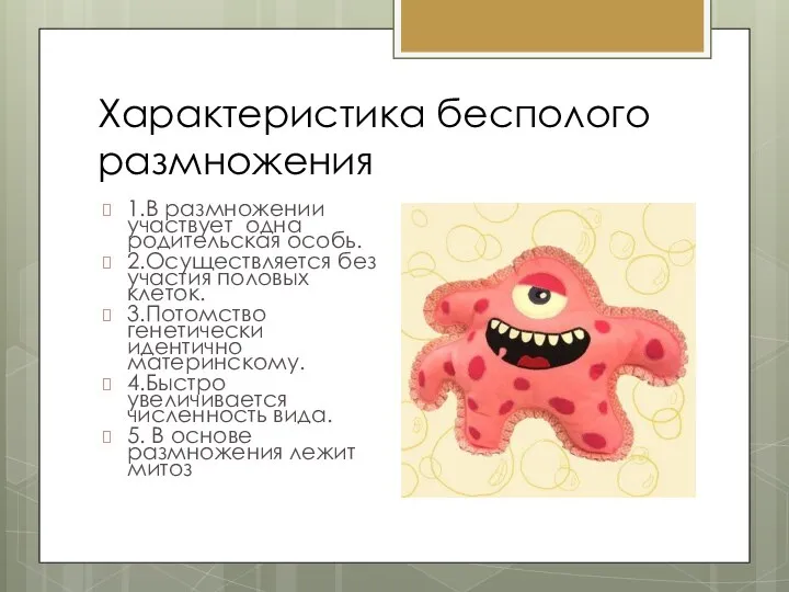 Характеристика бесполого размножения 1.В размножении участвует одна родительская особь. 2.Осуществляется без