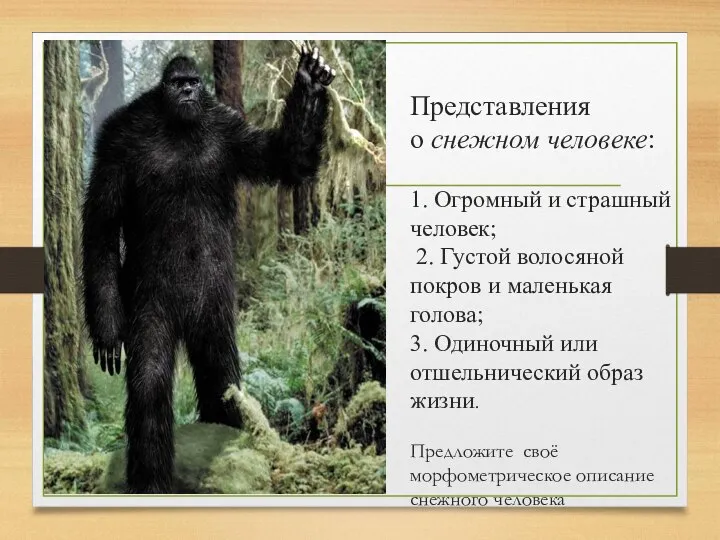 Представления о снежном человеке: 1. Огромный и страшный человек; 2. Густой