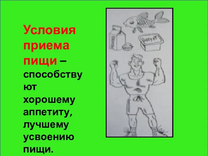 Условия приема пищи – способствуют хорошему аппетиту, лучшему усвоению пищи.