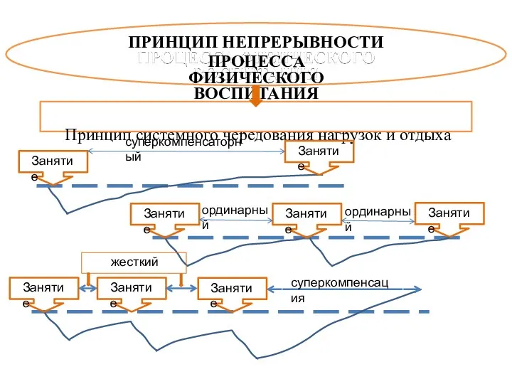 ПРИНЦИП НЕПРЕРЫВНОСТИ ПРОЦЕССА ФИЗИЧЕСКОГО ВОСПИТАНИЯ Принцип системного чередования нагрузок и отдыха