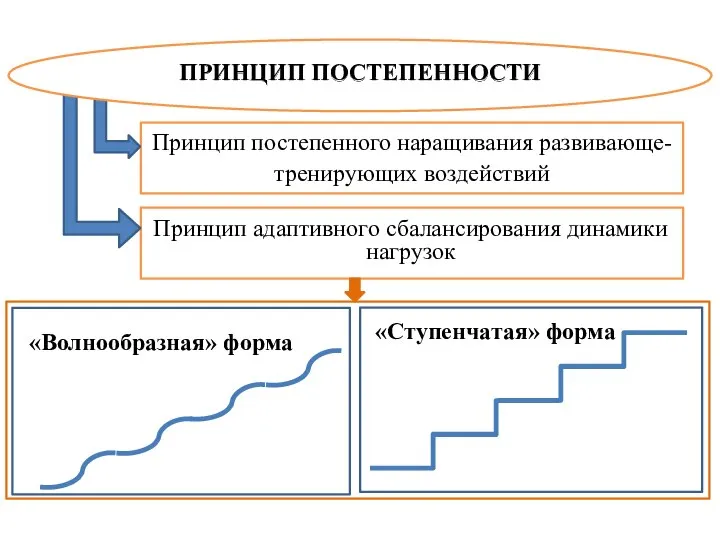 «Волнообразная» форма «Ступенчатая» форма Принцип постепенного наращивания развивающе- тренирующих воздействий Принцип