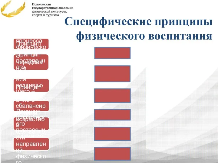 Специфические принципы физического воспитания Принцип непрерывности процесса физического воспитания Принцип системного