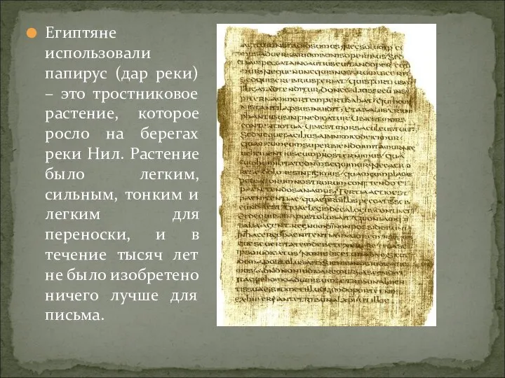 Египтяне использовали папирус (дар реки) – это тростниковое растение, которое росло