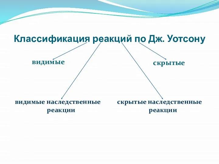 Классификация реакций по Дж. Уотсону видимые скрытые видимые наследственные реакции скрытые наследственные реакции