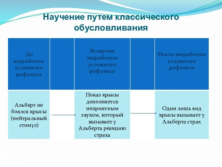 Научение путем классического обусловливания