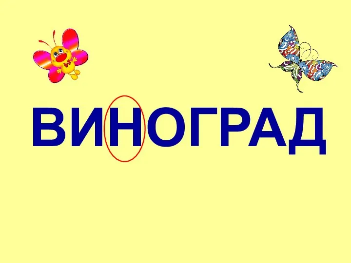 ВИНОГРАД