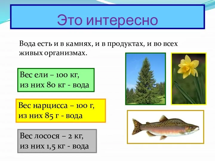 Это интересно Вода есть и в камнях, и в продуктах, и