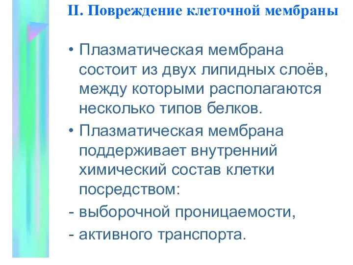 II. Повpеждение клеточной мембpаны Плазматическая мембрана состоит из двух липидных слоёв,