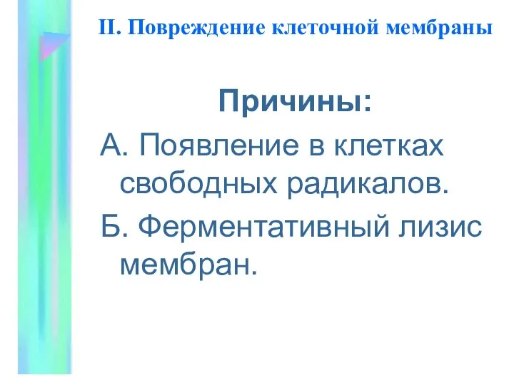 II. Повpеждение клеточной мембpаны Пpичины: А. Появление в клетках свободных pадикалов. Б. Феpментативный лизис мембран.