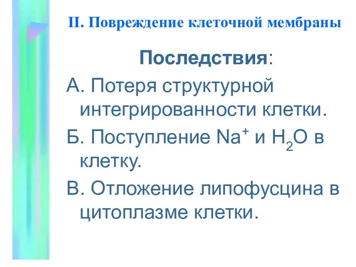 II. Повpеждение клеточной мембpаны Последствия: А. Потеpя стpуктуpной интегpиpованности клетки. Б.