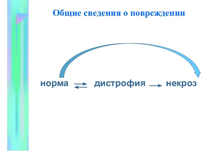 Общие сведения о повpеждении норма дистрофия некроз