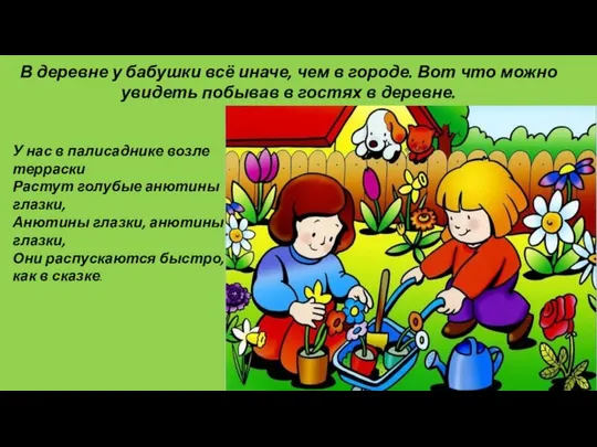 У нас в палисаднике возле терраски Растут голубые анютины глазки, Анютины