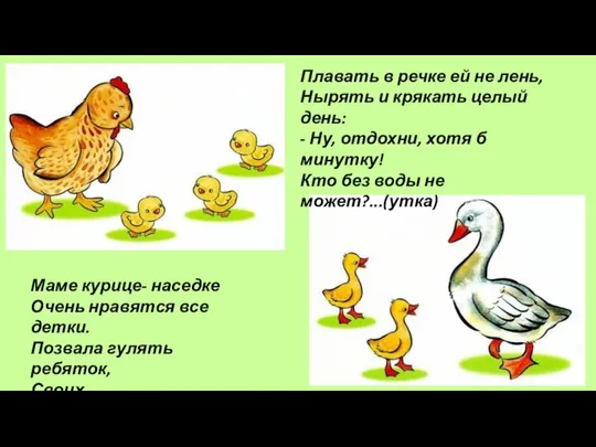 Маме курице- наседке Очень нравятся все детки. Позвала гулять ребяток, Своих