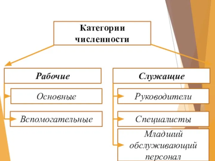 Категории численности Рабочие Служащие Основные Вспомогательные Руководители Специалисты Младший обслуживающий персонал