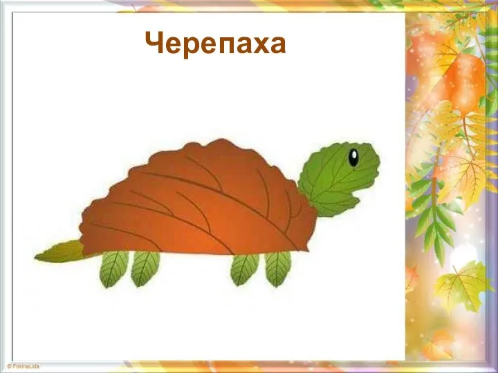 Черепаха