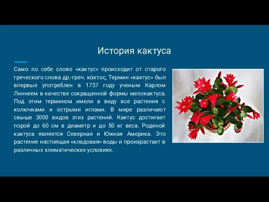 История кактуса Само по себе слово «кактус» происходит от старого греческого