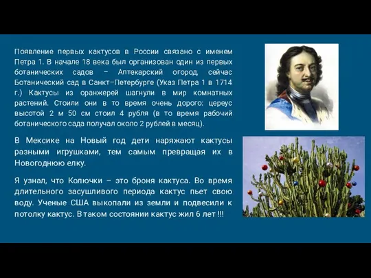 Появление первых кактусов в России связано с именем Петра 1. В