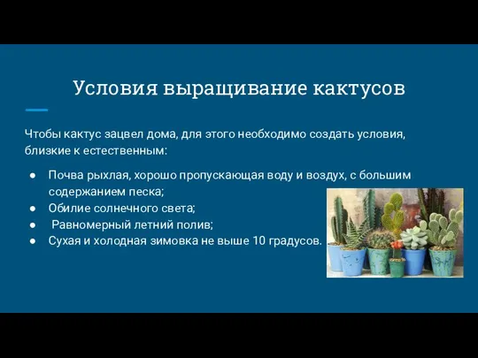 Условия выращивание кактусов Чтобы кактус зацвел дома, для этого необходимо создать