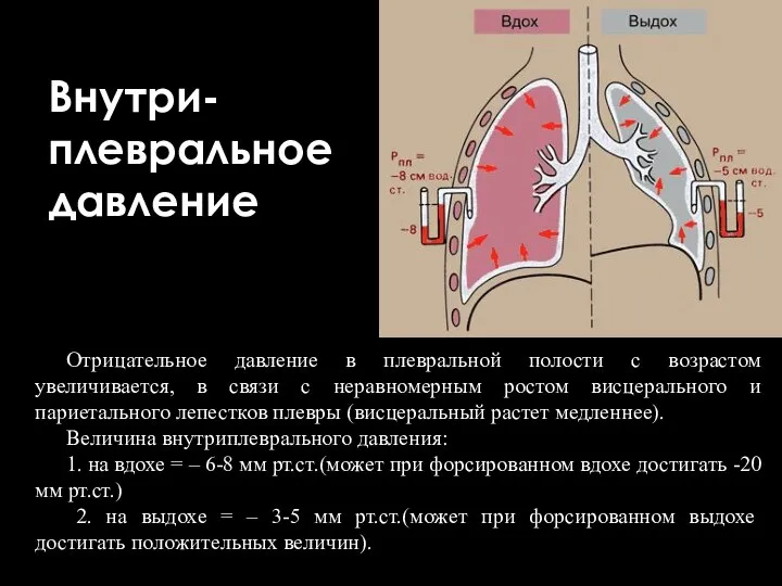 Внутри- плевральное давление Отрицательное давление в плевральной полости с возрастом увеличивается,