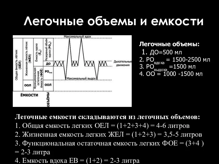 Легочные объемы и емкости Легочные объемы: 1. ДО=500 мл 2. РОвдоха