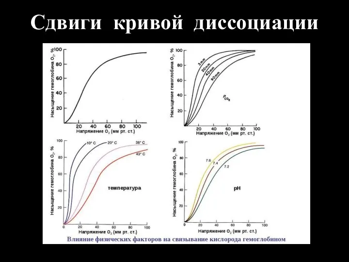 Сдвиги кривой диссоциации