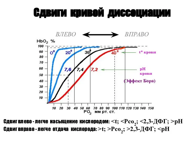 Сдвиги кривой диссоциации ВЛЕВО ВПРАВО Сдвиг влево - легче насыщение кислородом: