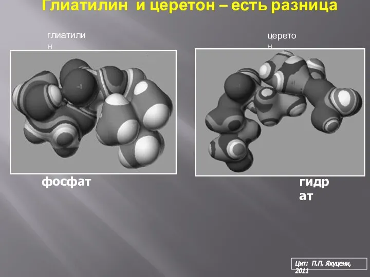 Цит: П.П. Якуцени, 2011 Глиатилин и церетон – есть разница фосфат гидрат глиатилин церетон