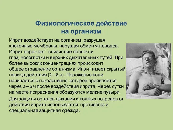 Физиологическое действие на организм Иприт воздействует на организм, разрушая клеточные мембраны,