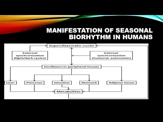 MANIFESTATION OF SEASONAL BIORHYTHM IN HUMANS