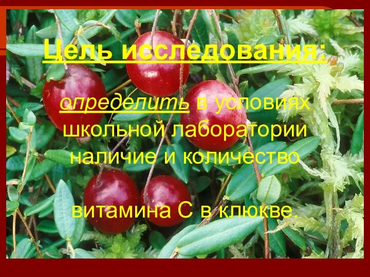 Цель исследования: определить в условиях школьной лаборатории наличие и количество витамина С в клюкве.