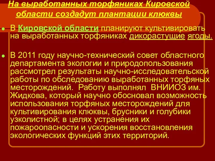 На выработанных торфяниках Кировской области создадут плантации клюквы В Кировской области