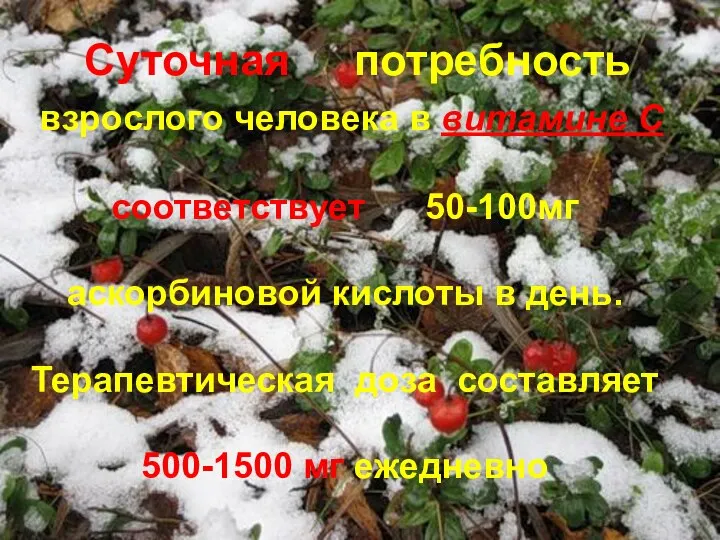 Суточная потребность взрослого человека в витамине С соответствует 50-100мг аскорбиновой кислоты