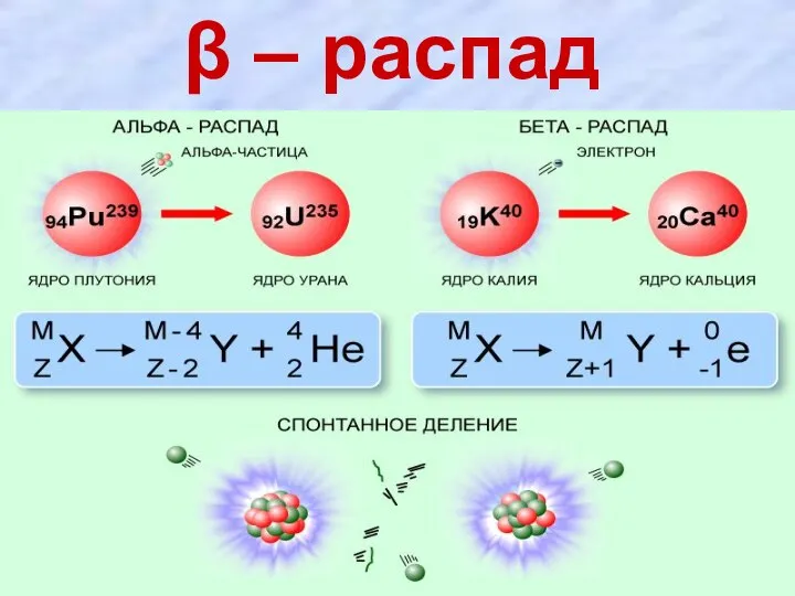 β – распад