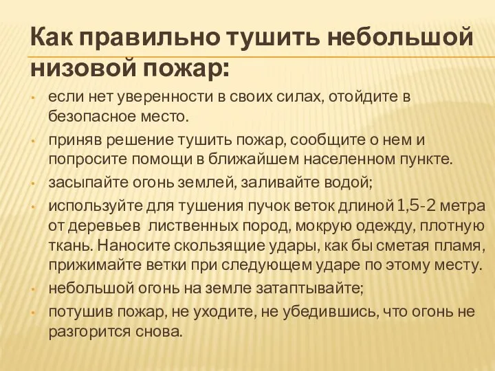 Как правильно тушить небольшой низовой пожар: если нет уверенности в своих