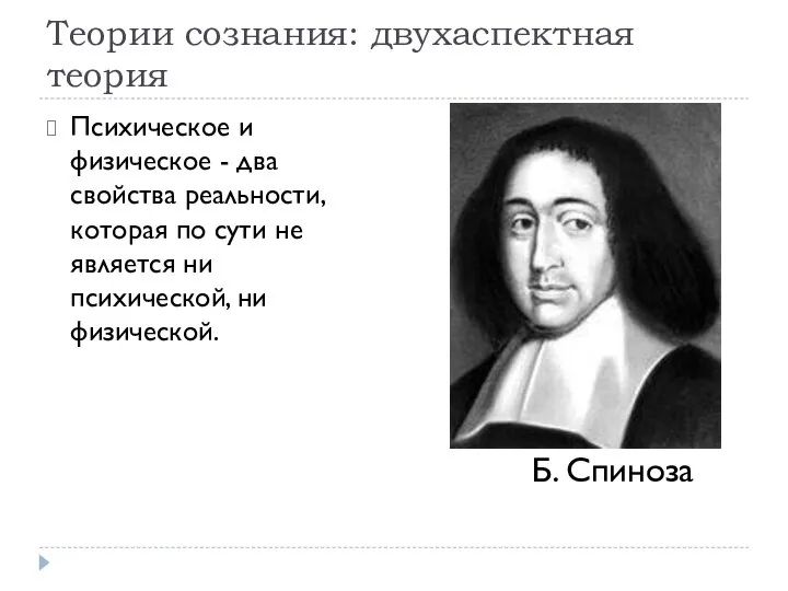 Теории сознания: двухаспектная теория Психическое и физическое - два свойства реальности,