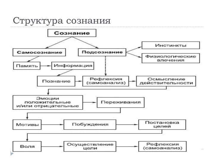 Структура сознания