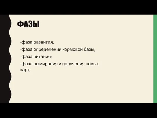 ФАЗЫ -фаза развития; -фаза определения кормовой базы; -фаза питания; -фаза вымирания и получения новых карт;