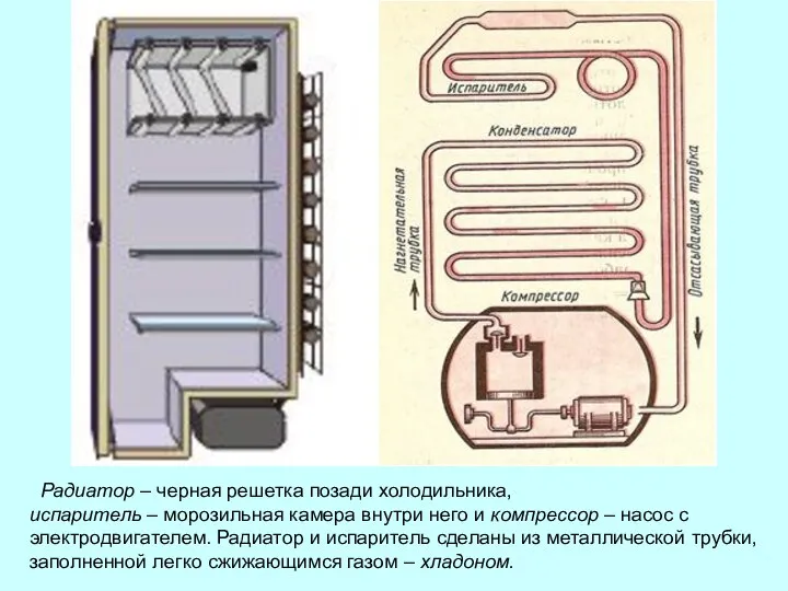 Радиатор – черная решетка позади холодильника, испаритель – морозильная камера внутри