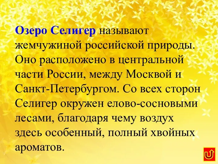 Озеро Селигер называют жемчужиной российской природы. Оно расположено в центральной части