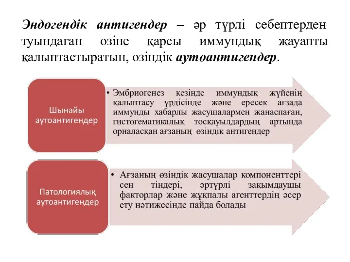 Эндогендік антигендер – әр түрлі себептерден туындаған өзіне қарсы иммундық жауапты қалыптастыратын, өзіндік аутоантигендер.