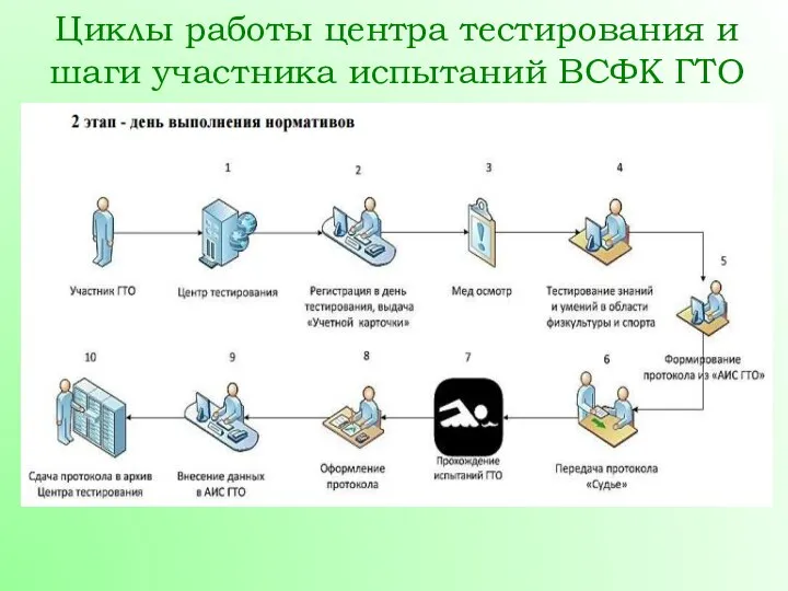 Циклы работы центра тестирования и шаги участника испытаний ВСФК ГТО