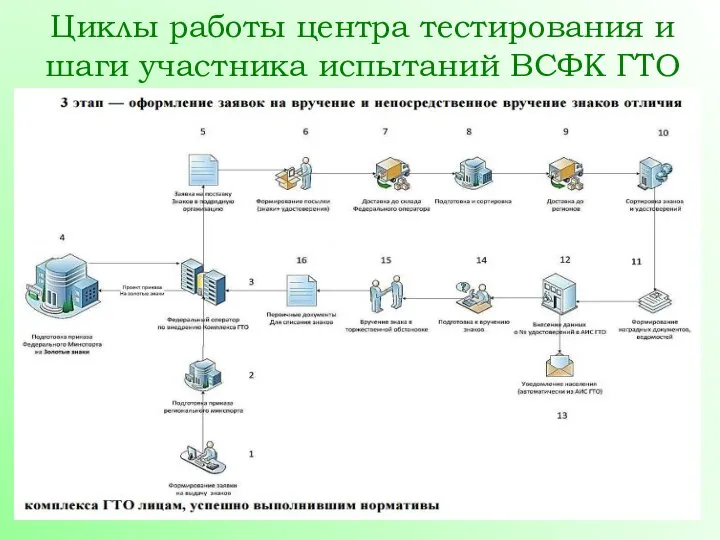 Циклы работы центра тестирования и шаги участника испытаний ВСФК ГТО