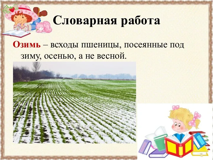 Словарная работа Озимь – всходы пшеницы, посеянные под зиму, осенью, а не весной.